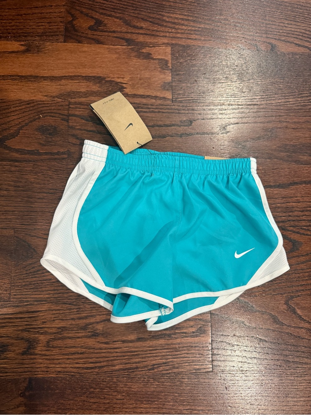 Nike Kids Teal Running Shorts with White Trim